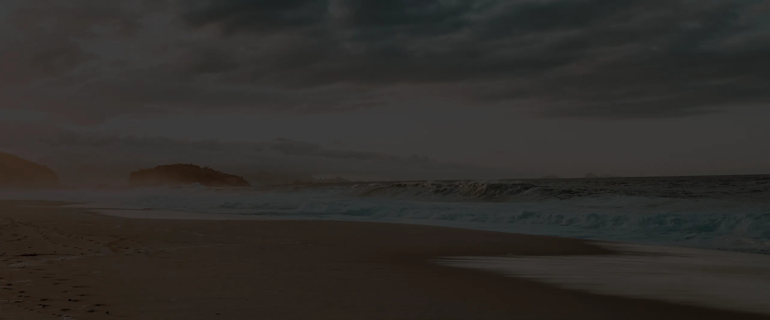 Política Pet Friendly