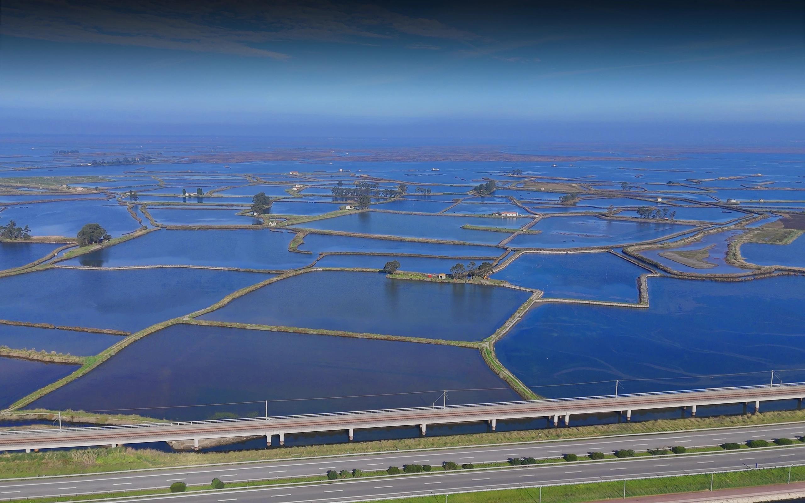 Fundo Página Alojamento Aveiro Almaa