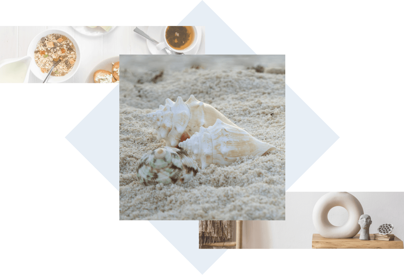 Imagem Central - Almaa Aveiro