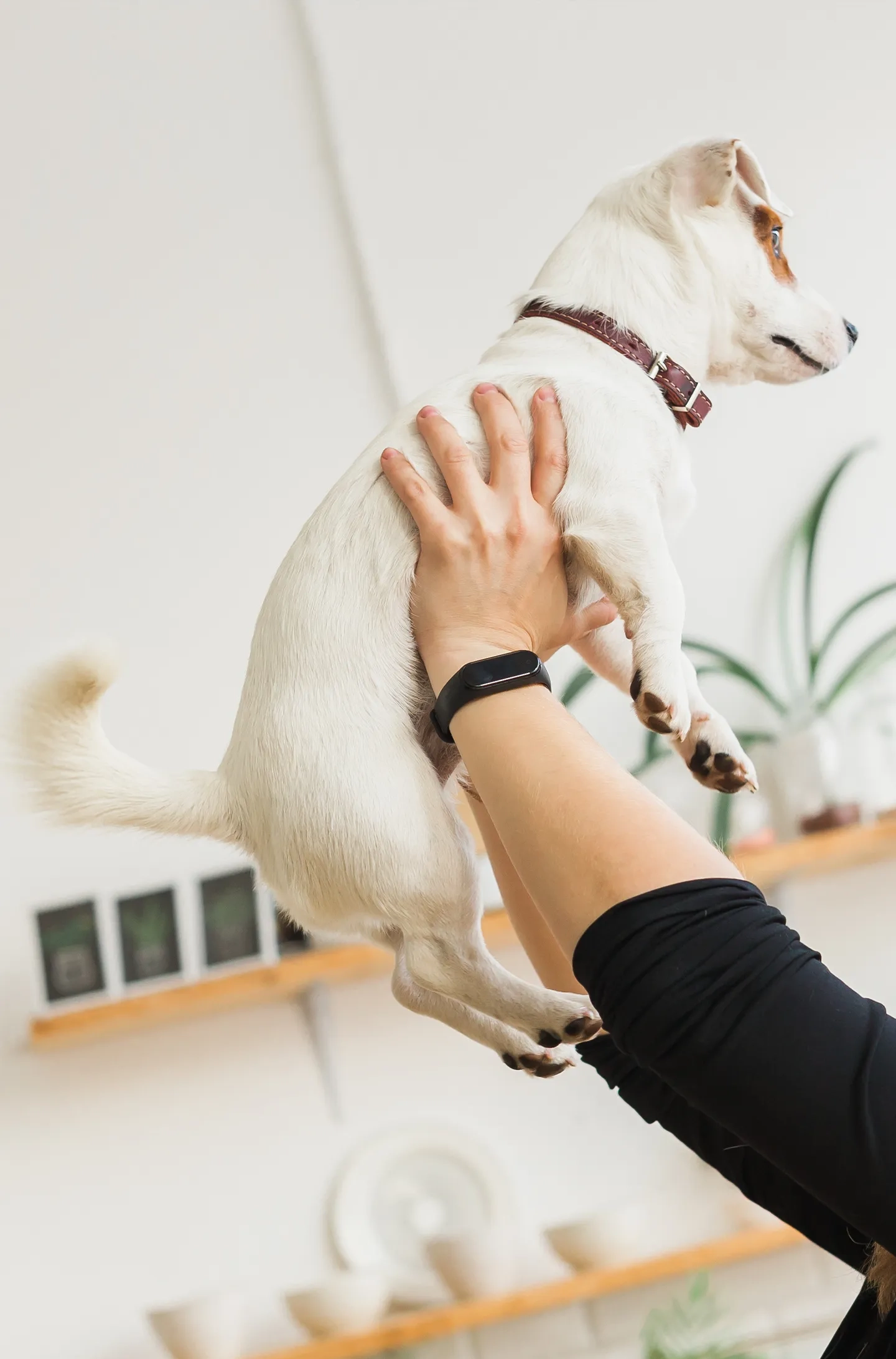 Parallax Small Image 2