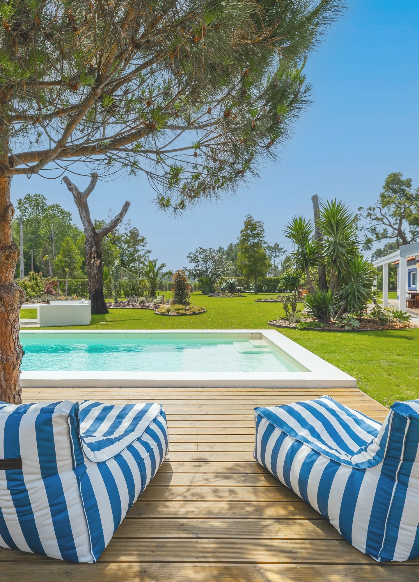 Apresentação Aveiro - Almaa intro